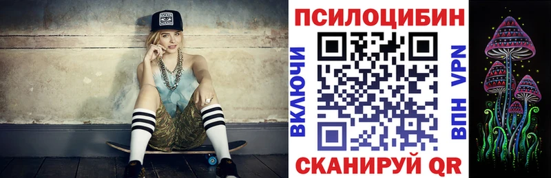 купить закладку  Рудня  Псилоцибиновые грибы Psilocybe 